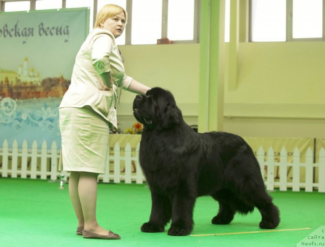 Фотография № 91558