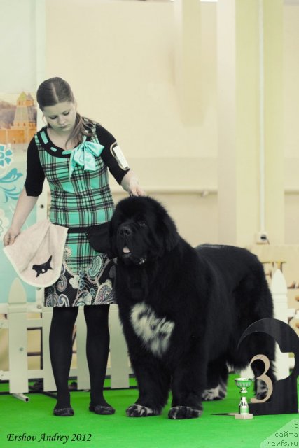 Фотография № 91562