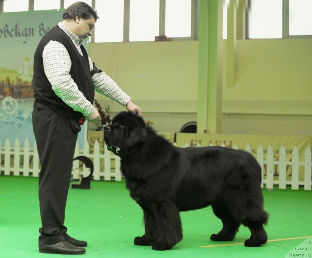 Фотография № 91565