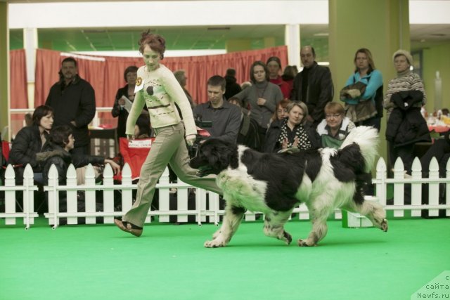 Фотография № 91571