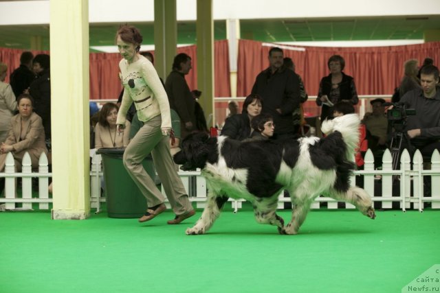 Фотография № 91572