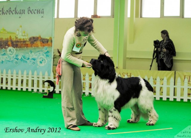 Фотография № 91573