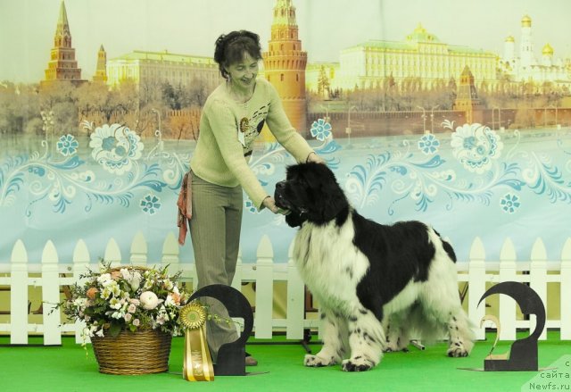 Фотография № 91574