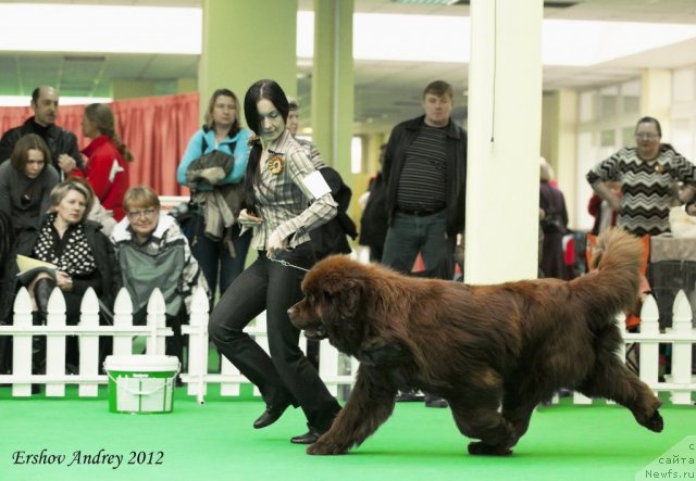 Фотография № 91577