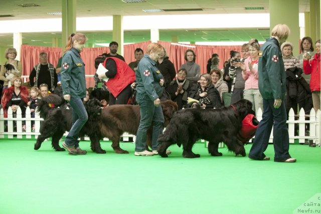 Фотография № 91580