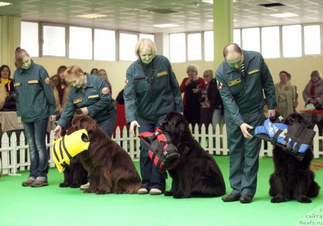 Фотография № 91581