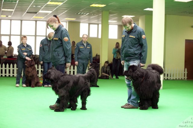 Фотография № 91582