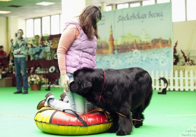 Фотография № 91585