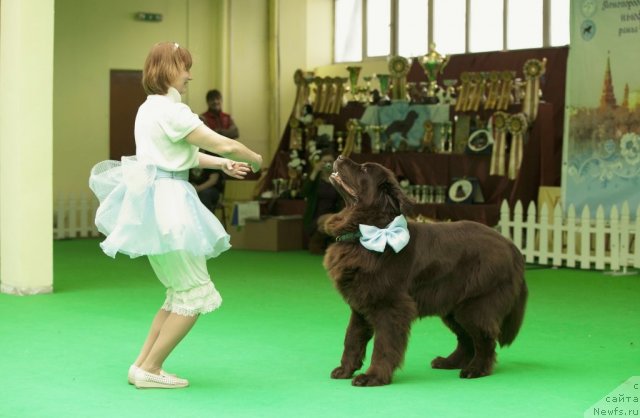 Фотография № 91591