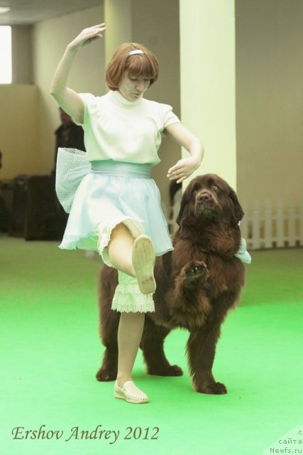 Фотография № 91593