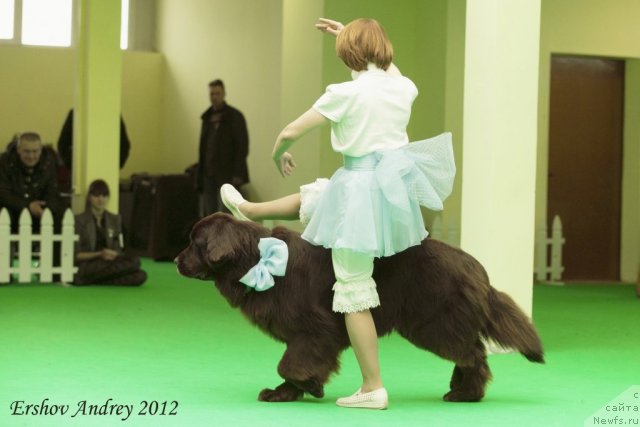 Фотография № 91594