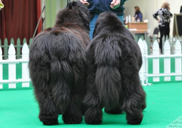 Фотография № 91599