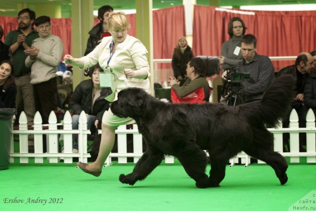 Фотография № 91620