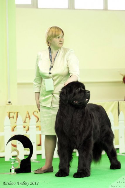 Фотография № 91622