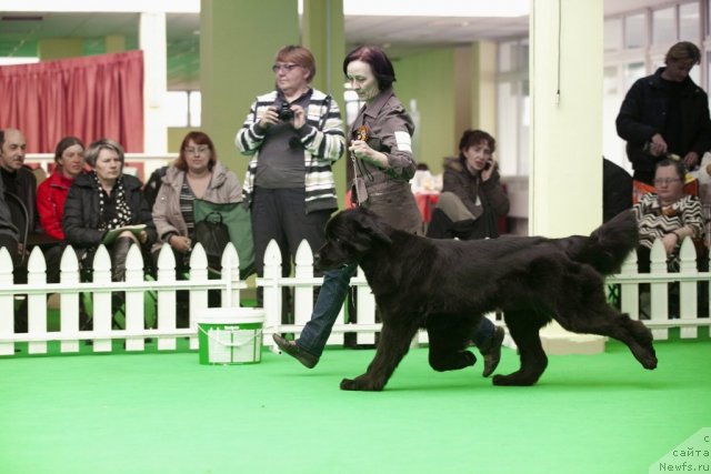 Фотография № 91624