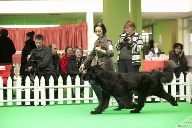 Фотография № 91625