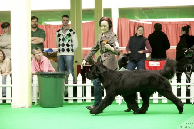 Фотография № 91627