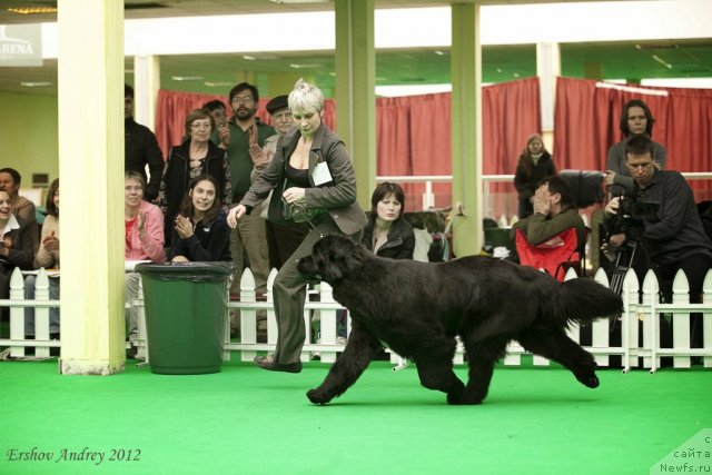 Фотография № 91629