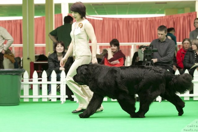 Фотография № 91634