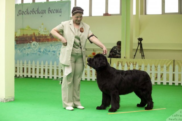 Фотография № 91635