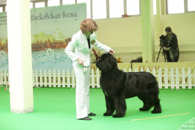 Фотография № 91636