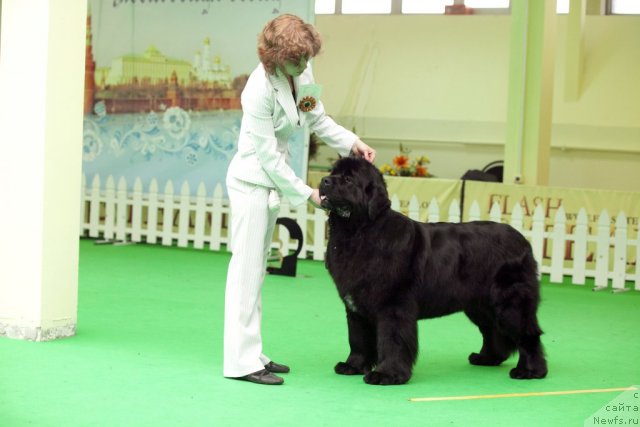 Фотография № 91637