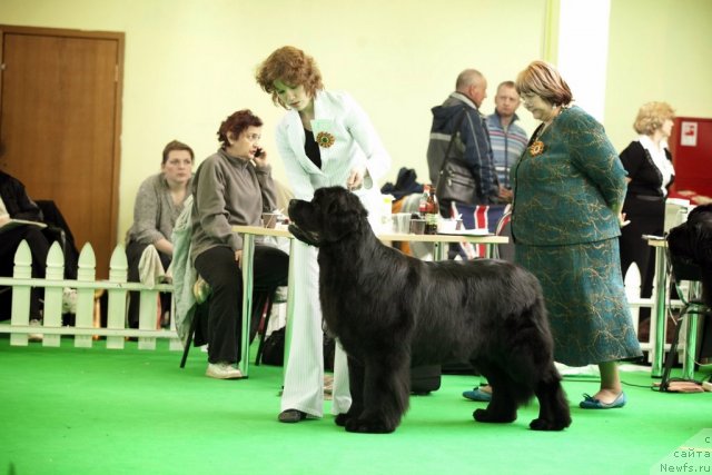 Фотография № 91638