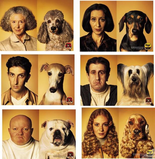 Фотография № 9164