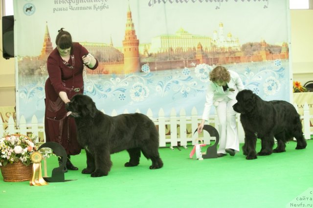 Фотография № 91644