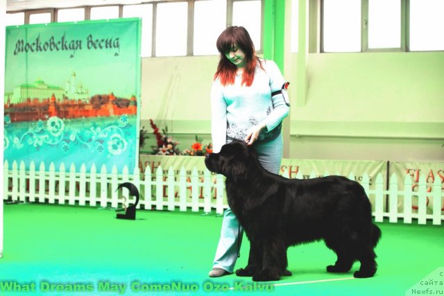 Фотография № 91651