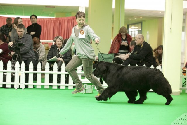 Фотография № 91679