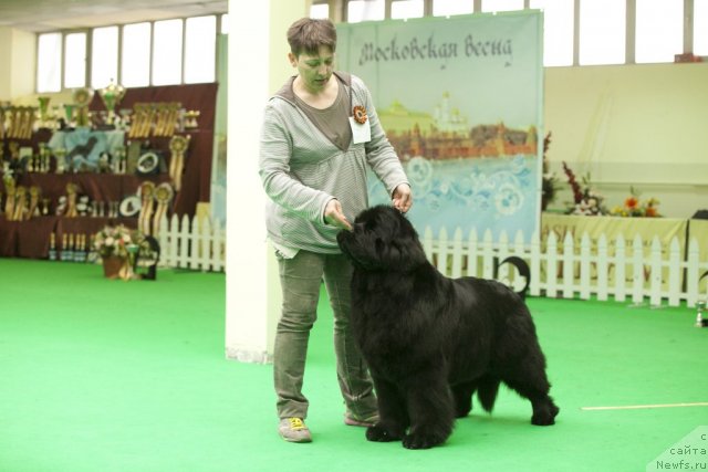 Фотография № 91682