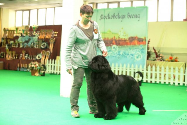 Фотография № 91683