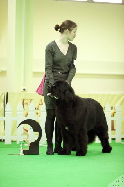 Фотография № 91684