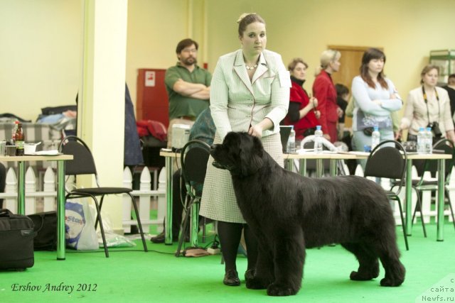 Фотография № 91685