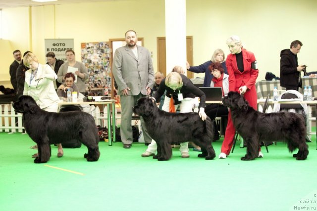 Фотография № 91691