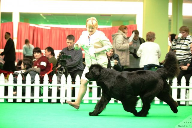 Фотография № 91693