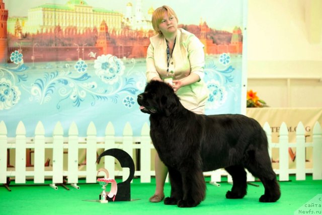 Фотография № 91697