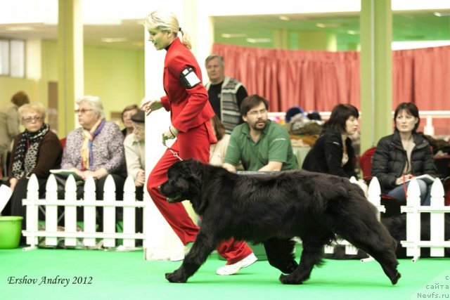 Фотография № 91705