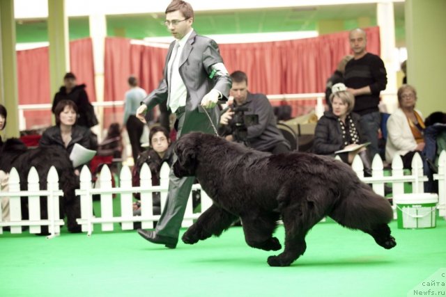 Фотография № 91748