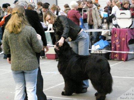 Фотография № 9175