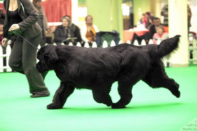 Фотография № 91752