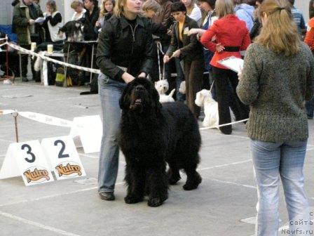 Фотография № 9176