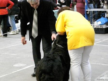 Фотография № 9177