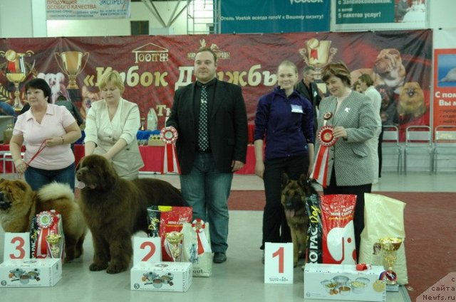 Фотография № 91779