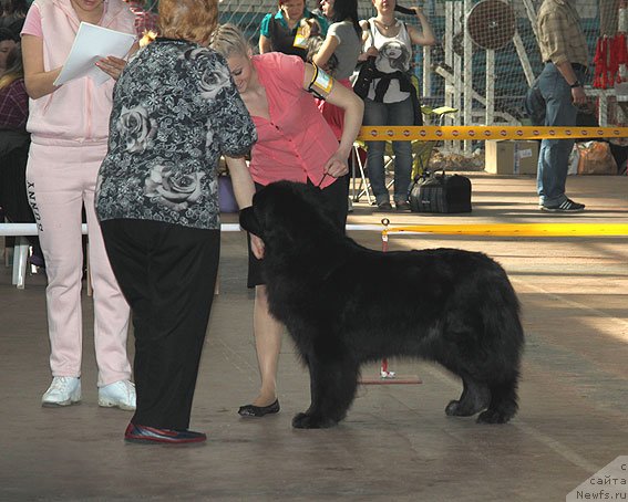 Фотография № 91782