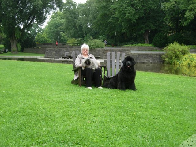 Фото: Galina Saryicheva (Галина Сарычева), ньюфаундленд Skippers Only You for Smigar