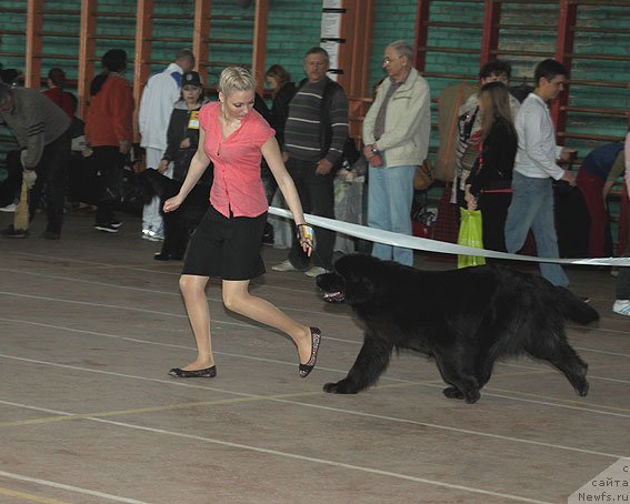 Фотография № 91789