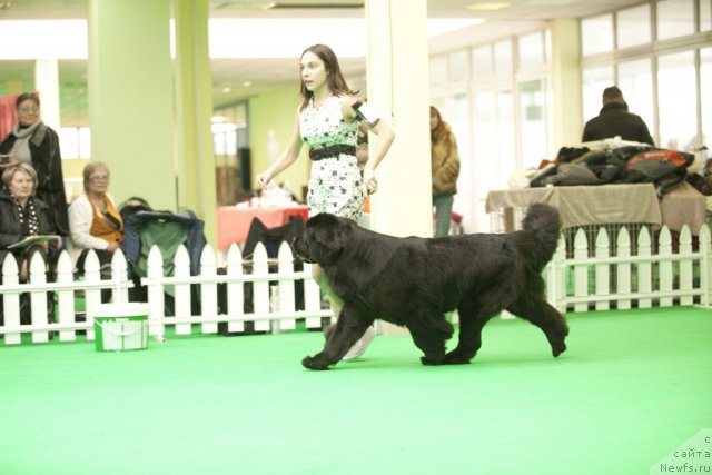 Фотография № 91804