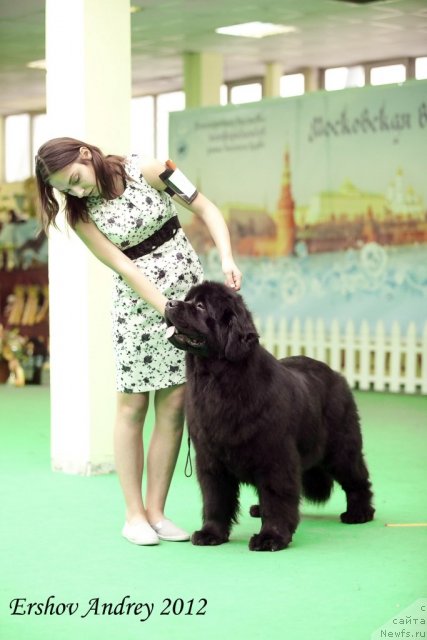 Фотография № 91805